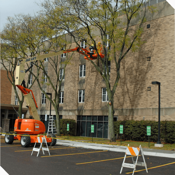 Workers working on building repair